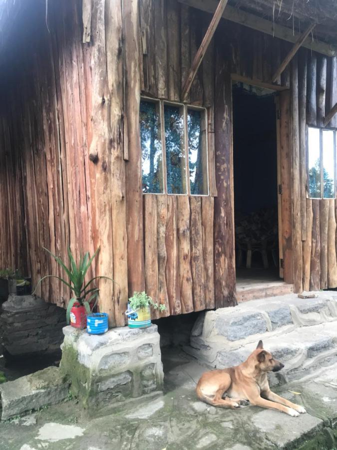 Kalitusi Nature Resort Fort Portal Экстерьер фото